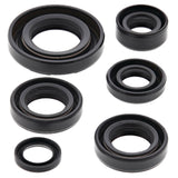 Vertex Oil Seal Kit 822224
