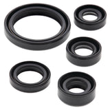 Vertex Oil Seal Kit 822226