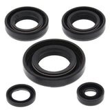Vertex Oil Seal Kit 822230