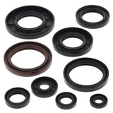 Vertex Oil Seal Kit 822233