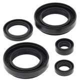 Vertex Oil Seal Kit 822234