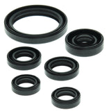 Vertex Oil Seal Kit 822238