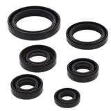 Vertex Oil Seal Kit 822241