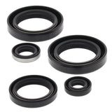 Vertex Oil Seal Kit 822244