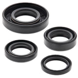 Vertex Oil Seal Kit 822246