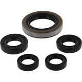 Vertex Oil Seal Kit 822249