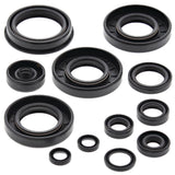 Vertex Oil Seal Kit 822252