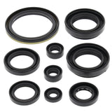 Vertex Oil Seal Kit 822259