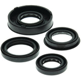 Vertex Oil Seal Kit 822261