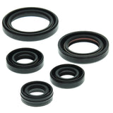 Vertex Oil Seal Kit 822263