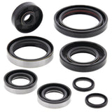 Vertex Oil Seal Kit 822264