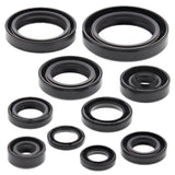 Vertex Oil Seal Kit 822265