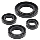 Vertex Oil Seal Kit 822272