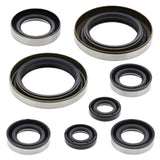 Vertex Oil Seal Kit 822274