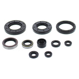 Vertex Oil Seal Kit 822275