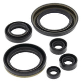 Vertex Oil Seal Kit 822280