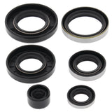 Vertex Oil Seal Kit 822281