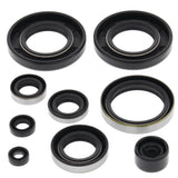 Vertex Oil Seal Kit 822282