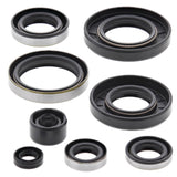 Vertex Oil Seal Kit 822284