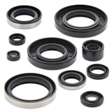 Vertex Oil Seal Kit 822287