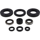 Vertex Oil Seal Kit 822292