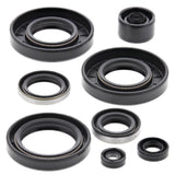 Vertex Oil Seal Kit 822293