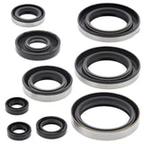 Vertex Oil Seal Kit 822296