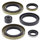 Vertex Oil Seal Kit 822300