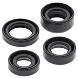 Vertex Oil Seal Kit 822306