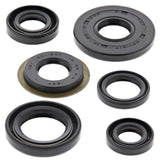 Vertex Oil Seal Kit 822307