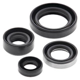 Vertex Oil Seal Kit 822309