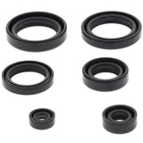Vertex Oil Seal Kit 822310