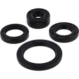 Vertex Oil Seal Kit 822314