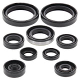 Vertex Oil Seal Kit 822316
