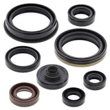Vertex Oil Seal Kit 822318
