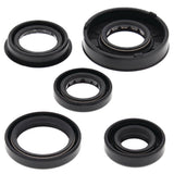 Vertex Oil Seal Kit 822322