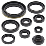 Vertex Oil Seal Kit 822324