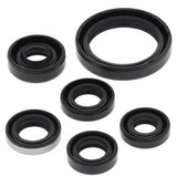 Vertex Oil Seal Kit 822334