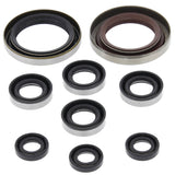 Vertex Oil Seal Kit 822335