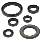 Vertex Oil Seal Kit 822338