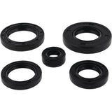 Vertex Oil Seal Kit 822343