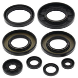 Vertex Oil Seal Kit 822349