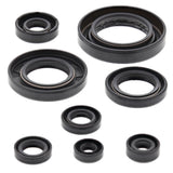 Vertex Oil Seal Kit 822354