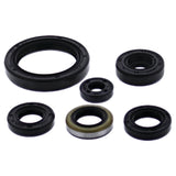 Vertex Oil Seal Kit 822379