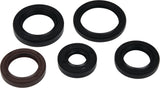 Vertex Oil Seal Kit 822394
