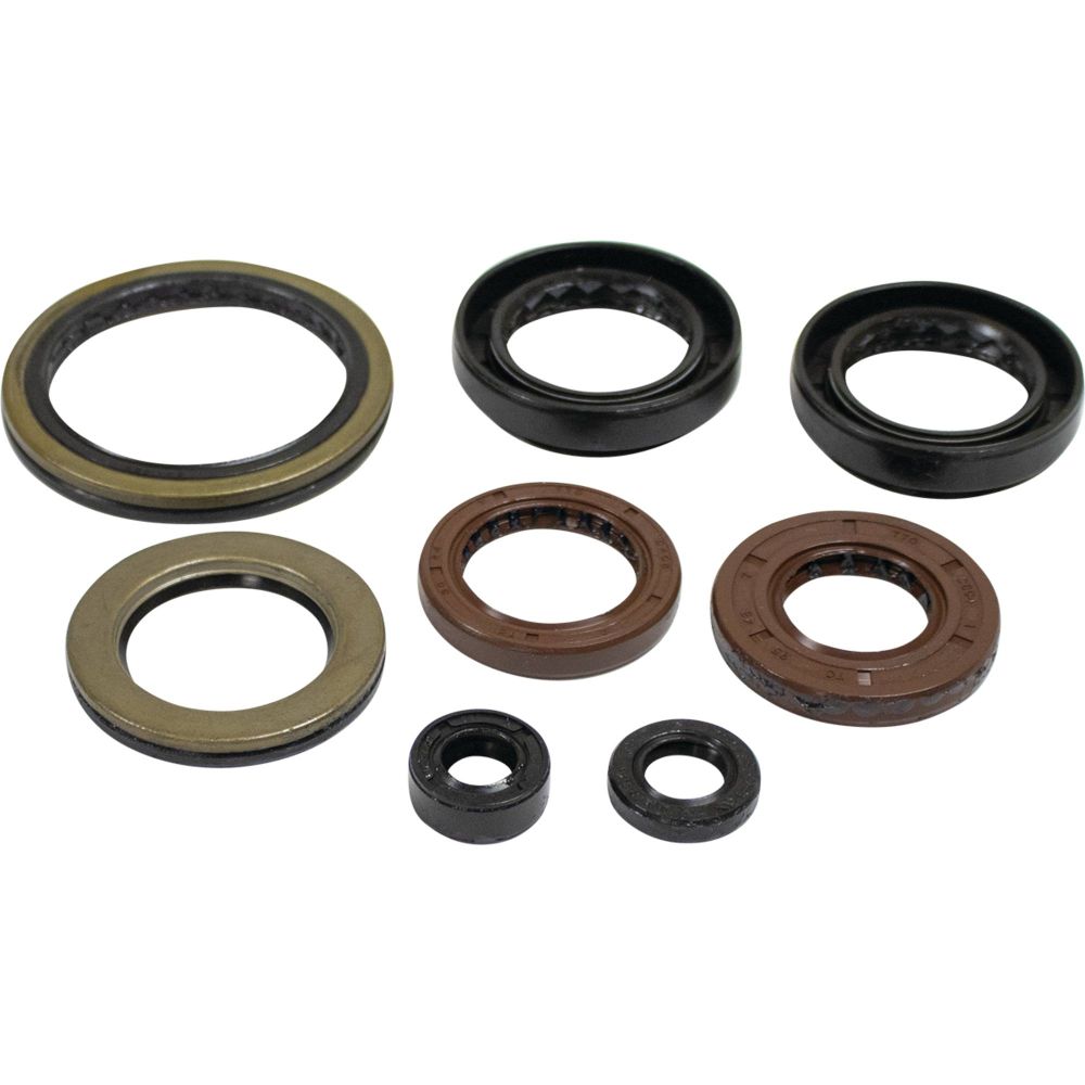 Vertex Oil Seal Kit 822402