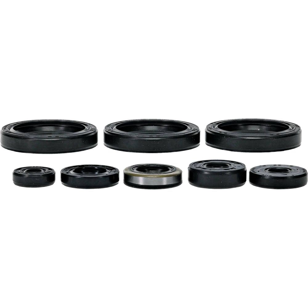 Vertex Engine Oil Seal Kit 822403
