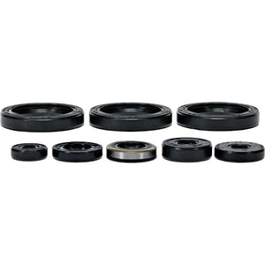Vertex Engine Oil Seal Kit 822403
