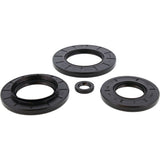 Vertex Engine Oil Seal Kit 822404