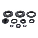 Vertex Oil Seal Kit 822993
